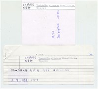 互生鱗葉苔藏品圖，第3張